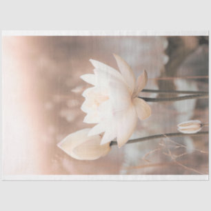 Papel De Seda Lótus Branco, Rosa, Grama das Pampas, lago enevoad