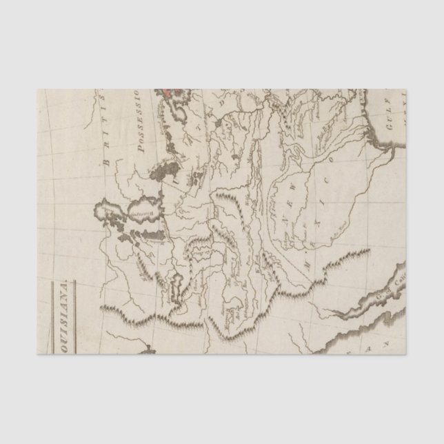 Papel De Seda Louisiana 4 (Frente )