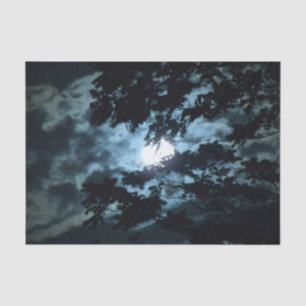 Papel De Seda Lua Ilumina a Noite atrás das Ramificações das Árv