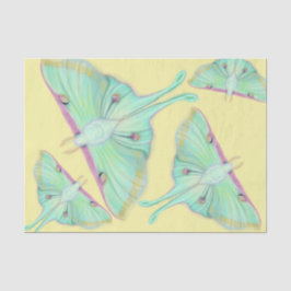 Papel De Seda Luna Moth em amarelo