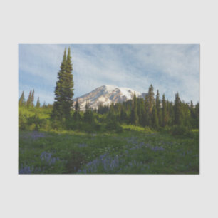 Papel De Seda Luz da Manhã no Monte Rainier
