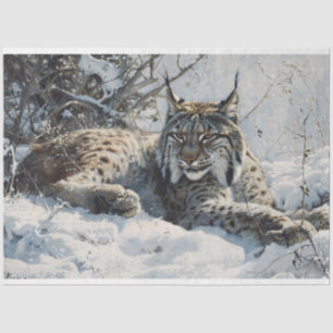 Papel De Seda Lynx na página de nuvem de neve