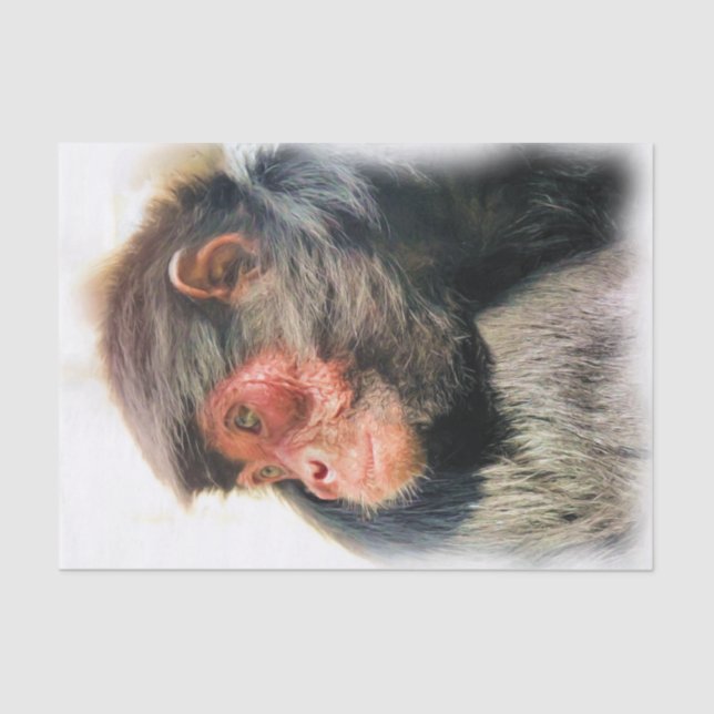 PAPEL DE SEDA MACACA DE ARANHA (Frente )