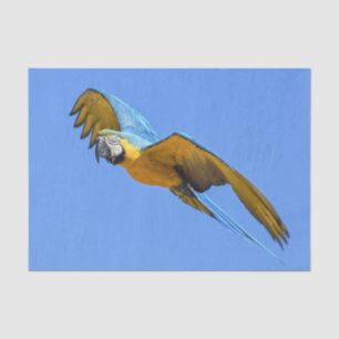 Papel De Seda Macaw Azul Amarelo