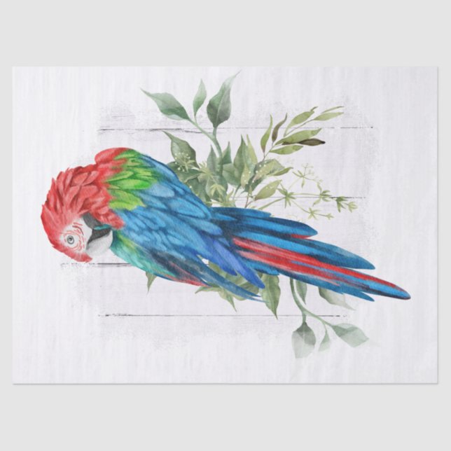 Papel De Seda Macaw Parrot Eucalyptus Watercolor (Frente )