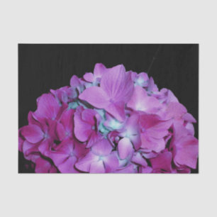 Papel De Seda Magenta Hydrangeas