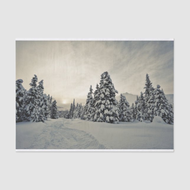 Papel De Seda Magia de inverno (Frente )