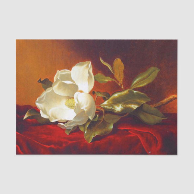 Papel De Seda Magnolia em Red Velvet Martin Johnson Heade (Frente )