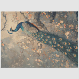 Papel De Seda Maiestoso Peacock Em Meio A Cerejeira Blossomas