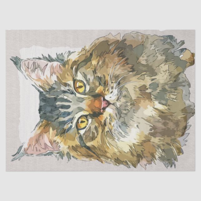 Papel De Seda Maine Coon Cat Breed Watercolor Sketch (Frente )