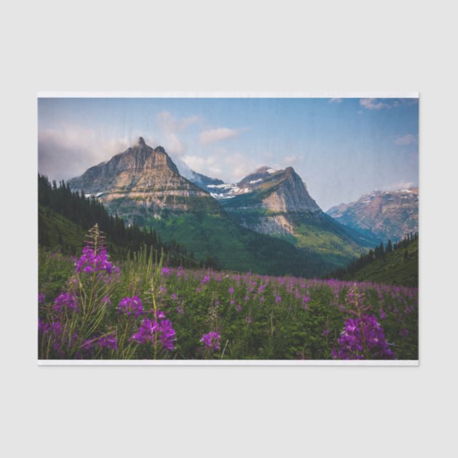 Papel De Seda Majestade Lupine Meadow Mountain (Frente )