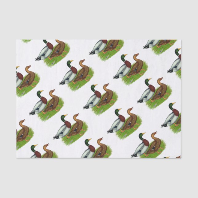 Papel De Seda Mallard Drake e Duck (Frente )