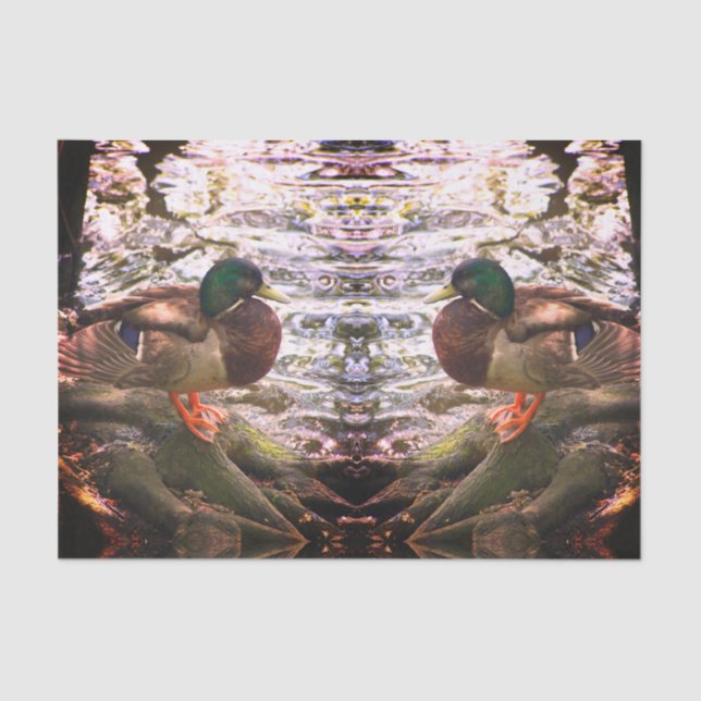 Papel De Seda Mallard Mirror (Frente )