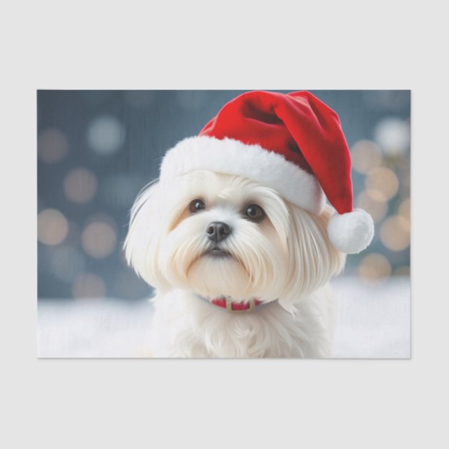 Papel De Seda Maltese Tissue Paper (Frente )