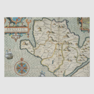 Papel De Seda Mapa antigo antigo inspirado (7)