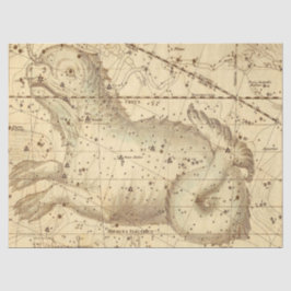 Papel De Seda Mapa antigo da Galáxia Design 8