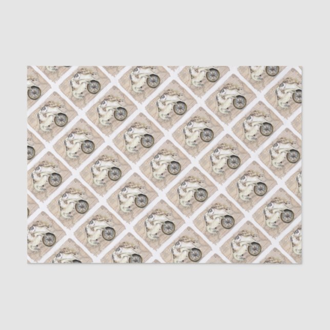 Papel De Seda Mapa de Bens do Mar (Frente )