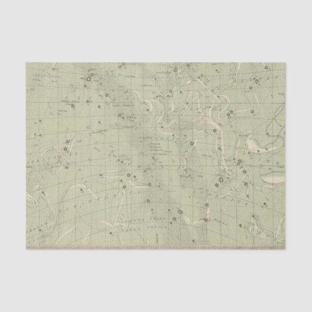 Papel De Seda Mapa de estrela 2 (Frente )