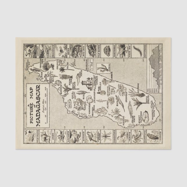 Papel De Seda Mapa de Imagens Antiquado da Ilha de Madagascar Kr (Frente )