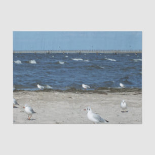 Papel De Seda mar, água, gaivota, pássaro, viagem, azul, céu,