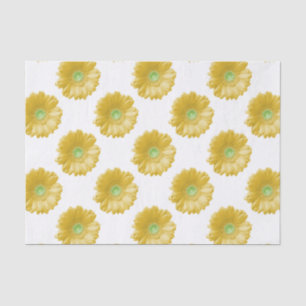 Papel De Seda Margarida amarela do gerbera