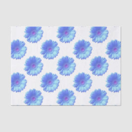 Papel De Seda Margarida azul-gerbera
