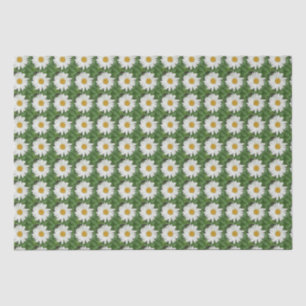 Papel De Seda Margarida Branca