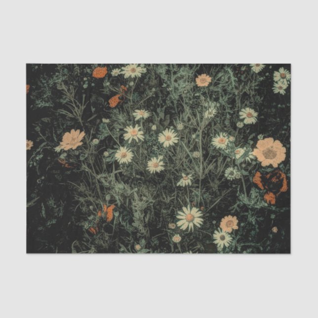 Papel De Seda margarida branca boêmica floral preto (Frente )