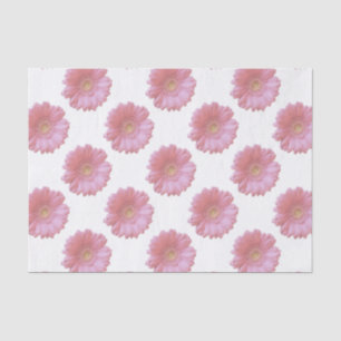 Papel De Seda Margarida rosa pálido do gerbera
