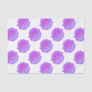 Papel De Seda Margarida roxa do gerbera