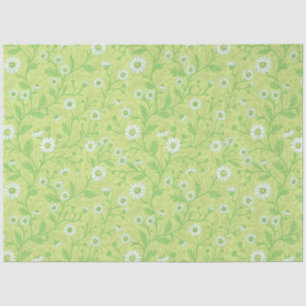 Papel De Seda Margaridas em branco e verde sobre verde melancia