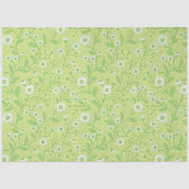 Papel De Seda Margaridas em branco e verde sobre verde melancia (Frente )