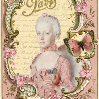 Papel De Seda Marie em Paris cor-de-rosa - Retrato Desumbrado