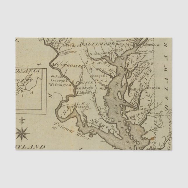 Papel De Seda Maryland 5 (Frente )