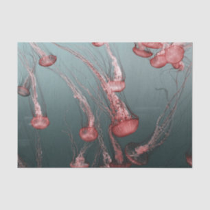 Papel De Seda medusa