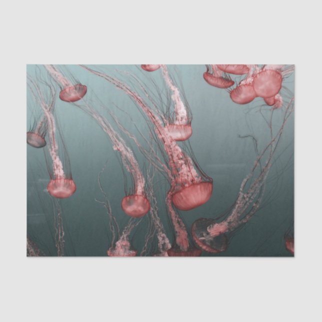Papel De Seda medusa (Frente )