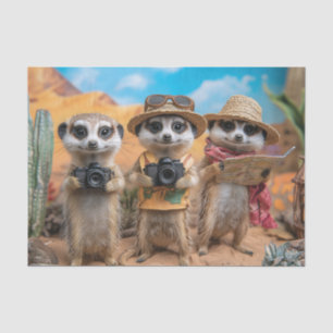 Papel De Seda Meerkats vestidos como turistas com câmeras e mapa