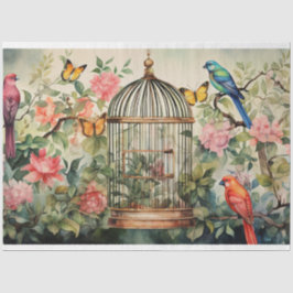 Papel De Seda Melodias Chirping: Desocupação da Baiola