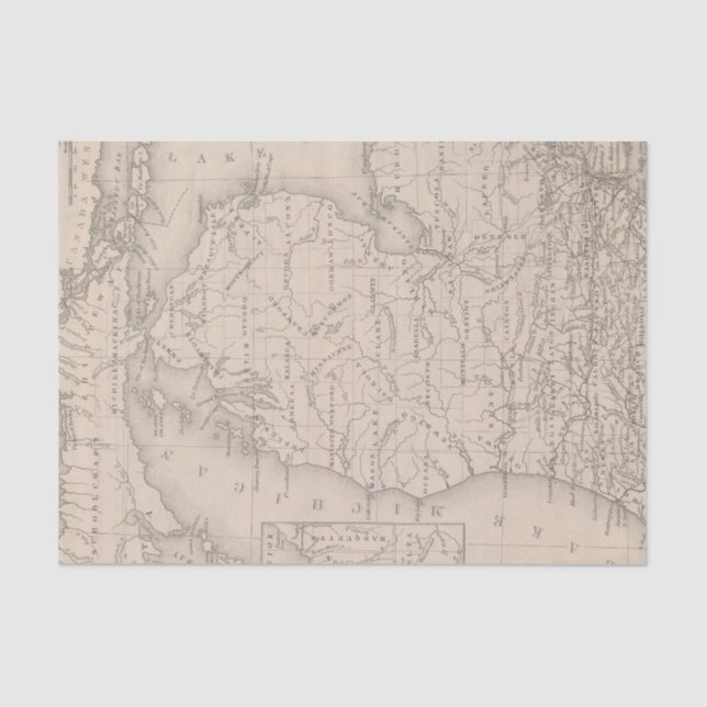 Papel De Seda Michigan 9 (Frente )