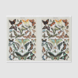Papel De Seda Millot, Borboletas e Mães, Desligar