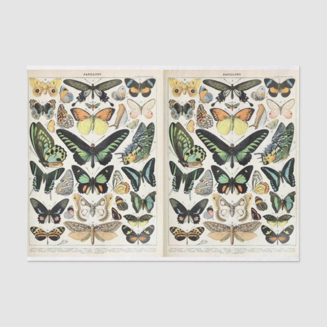 Papel De Seda Millot Butterflies (Frente )