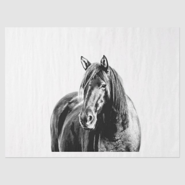 Papel De Seda Missouri Wild Horse (Frente )