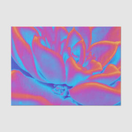 Papel De Seda Mistério de sucesso