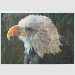 Papel De Seda Mistura Bald Eagle Mountain
