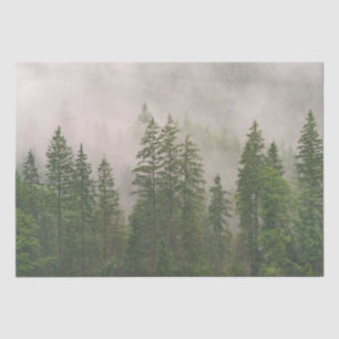Papel De Seda Misty Foggy Forest Trees
