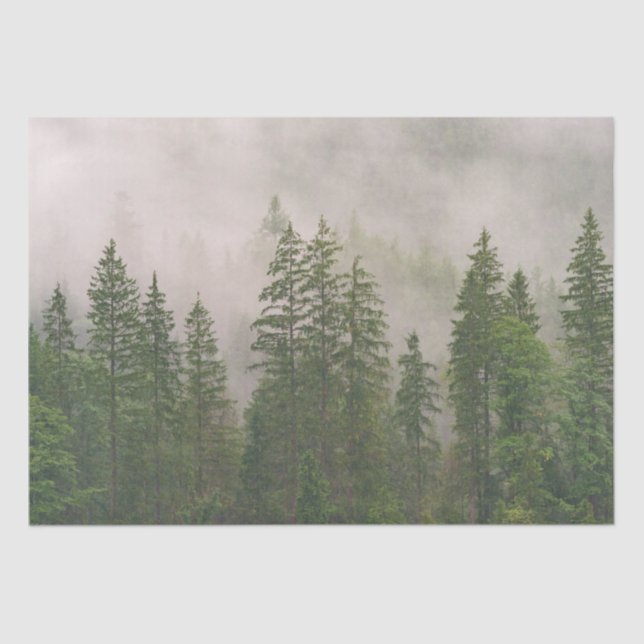 Papel De Seda Misty Foggy Forest Trees (Frente )