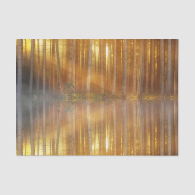 Papel De Seda Misty Forest Scene (Frente )