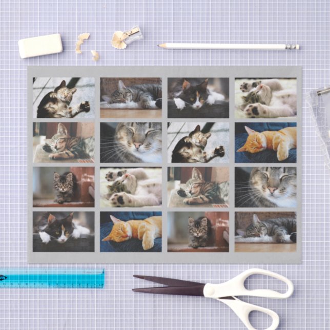 Papel De Seda Modelo de Fotografia de Gatos e Gatinhos Cachinhos (Arte )