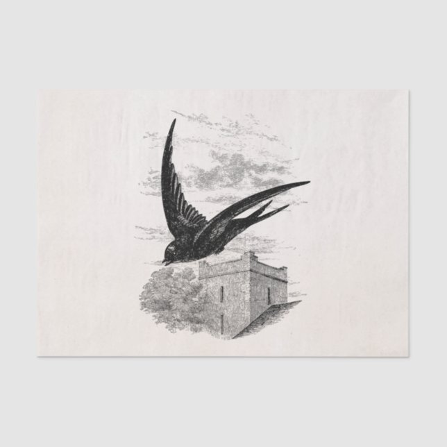 Papel De Seda Modelo rápido da ilustração do pássaro da (Frente )