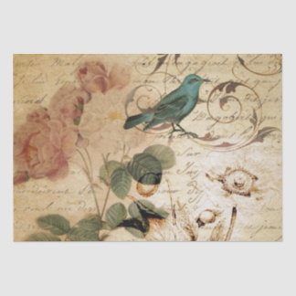 Papel De Seda Modern Vintage french Scripts botânicos de aves